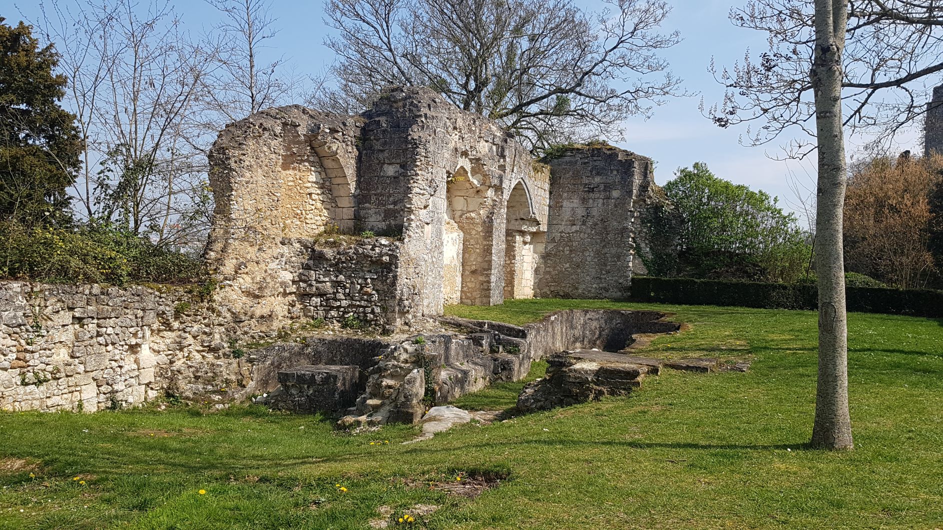 A droite de l'image des ruines de bâtiment du Château de Vendôme à gauche la pelouse du parc
